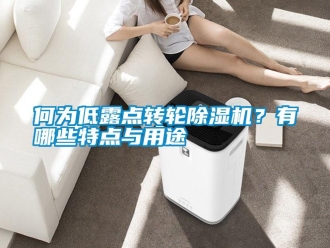 行業新聞何為低露點轉輪除濕機？有哪些特點與用途