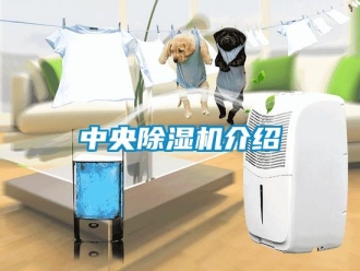 知識百科中央除濕機介紹