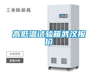 常見問題高低溫試驗(yàn)箱武漢報(bào)價(jià)