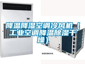 常見問題降溫降濕空調冷風機（工業空調降溫除濕干燥）