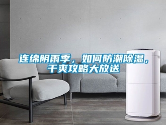 常見問題連綿陰雨季，如何防潮除濕，干爽攻略大放送