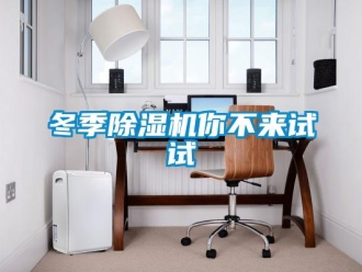 企業新聞冬季除濕機你不來試試
