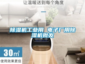常見問題除濕機工業(yè)用 電子廠用除濕機批發(fā)