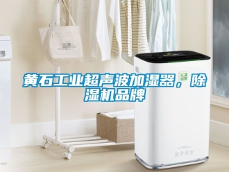 常見問題黃石工業超聲波加濕器，除濕機品牌