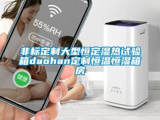知識百科非標定制大型恒定濕熱試驗箱daohan定制恒溫恒濕箱房