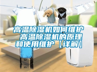 行業新聞高溫除濕機如何維護 高溫除濕機的原理和使用維護【詳解】