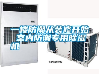 知識百科一樓防潮從裝修開始 室內防潮專用除濕機