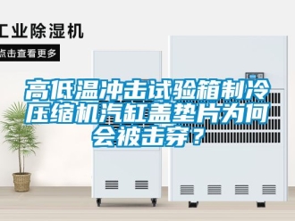 常見問題高低溫沖擊試驗箱制冷壓縮機汽缸蓋墊片為何會被擊穿？