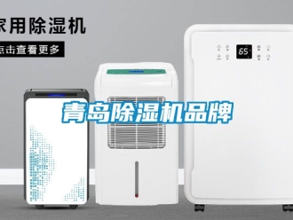 企業(yè)新聞青島除濕機品牌