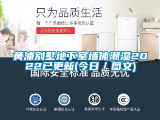 企業新聞黃浦別墅地下室墻體潮濕2022已更新(今日／圖文)