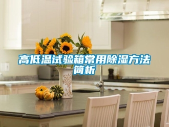 常見問題高低溫試驗(yàn)箱常用除濕方法簡析