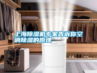 知識(shí)百科上海除濕機(jī)專家告訴你空調(diào)除濕的原理