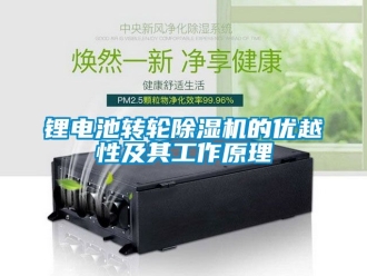 常見問題鋰電池轉輪除濕機的優越性及其工作原理