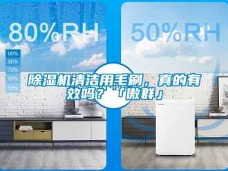行業新聞除濕機清潔用毛刷，真的有效嗎？「傲群」