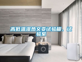 常見問題高低溫濕熱交變試驗箱、試驗室
