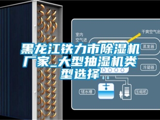 企業新聞黑龍江鐵力市除濕機廠家_大型抽濕機類型選擇