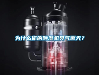 知識百科為什么你的除濕機臭氣熏天？