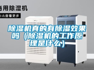 行業(yè)新聞除濕機(jī)真的有除濕效果嗎（除濕機(jī)的工作原理是什么）