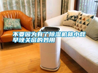 企業(yè)新聞不要因為有了除濕機就小覷早晚關(guān)窗的妙用