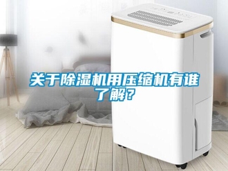 企業新聞關于除濕機用壓縮機有誰了解？
