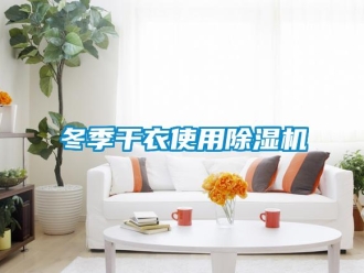 企業新聞冬季干衣使用除濕機