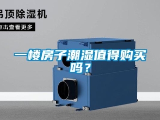 常見問題一樓房子潮濕值得購買嗎？