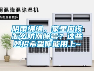 常見問題陰雨綿綿，家里應該怎么防潮除霉？這些妙招希望你能用上~
