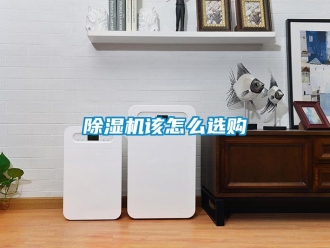 行業新聞除濕機該怎么選購