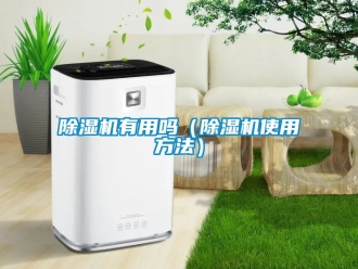 行業新聞除濕機有用嗎（除濕機使用方法）