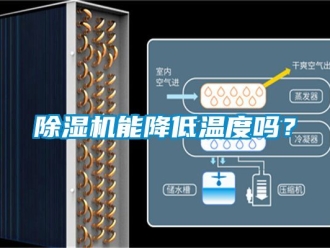 行業(yè)新聞除濕機能降低溫度嗎？