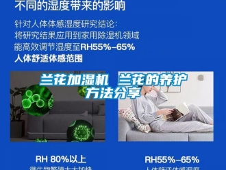 行業新聞蘭花加濕機 蘭花的養護方法分享