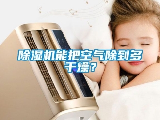 行業(yè)新聞除濕機能把空氣除到多干燥？