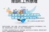 除濕機在中國市場如何，有哪些品牌比較好？
