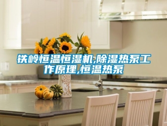 知識百科鐵嶺恒溫恒濕機,除濕熱泵工作原理,恒溫熱泵