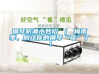 常見問題鋼琴防潮小妙招 ｜ 梅雨季，別讓你的鋼琴“霉”了！