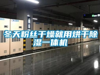 企業(yè)新聞冬天粉絲干燥就用烘干除濕一體機