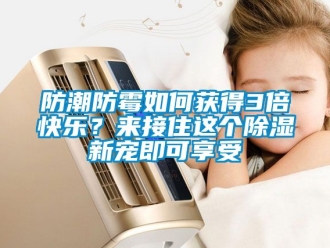 常見問題防潮防霉如何獲得3倍快樂？來接住這個除濕新寵即可享受