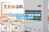 室內游泳池空氣相對濕度過高怎么除濕