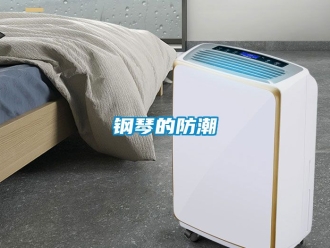 常見問題鋼琴的防潮